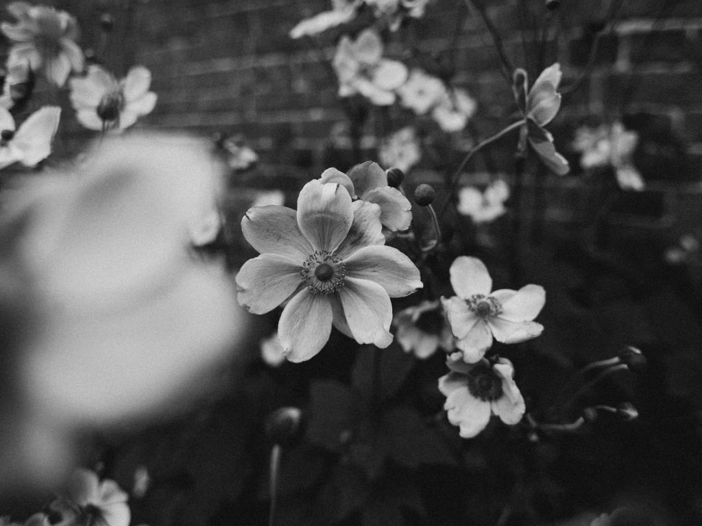 Sina olet kokonaisuus lasnaolo avaa maailmankaikkeuden itsessasi