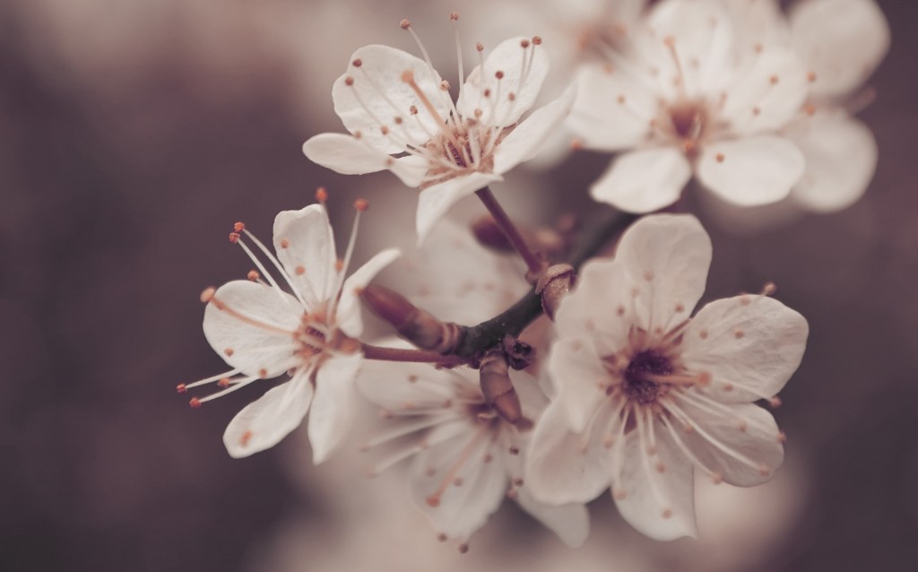 Muutos rakentuu tasta hetkesta lasnaolo avaimena itseen ja unelmaelamaan