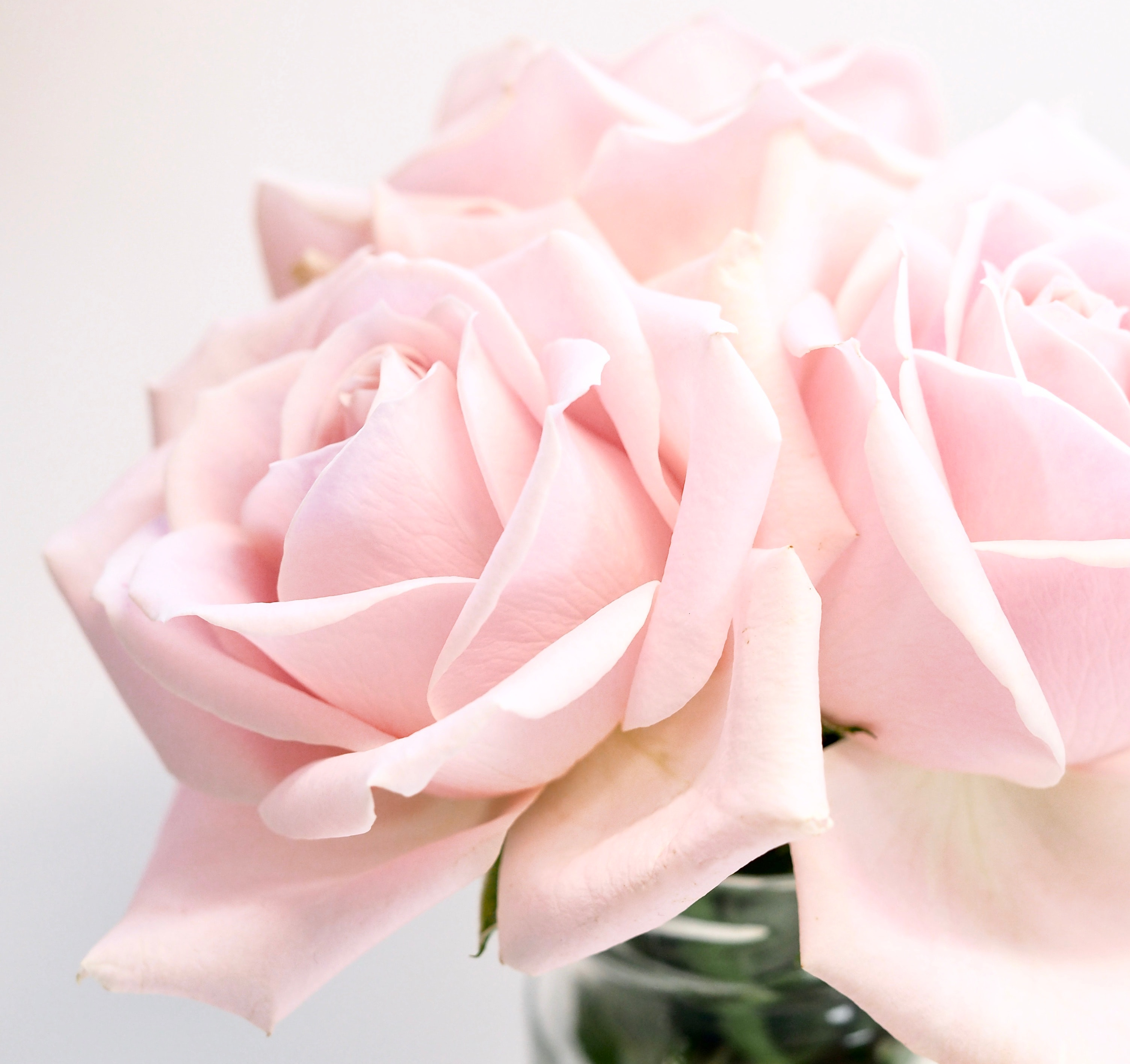 Koska sina olet rakkauden arvoinen 7 harjoitusta itsesi rakastamiseen