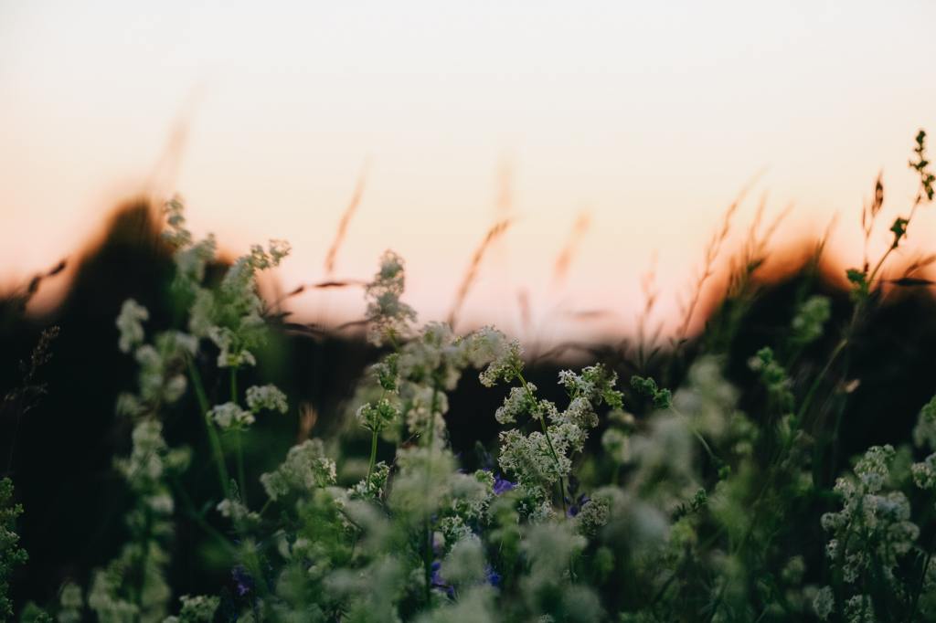 Rohkaisua voimaa ja hyvaa energiaa mita kaikkea sielun tarinat antavat