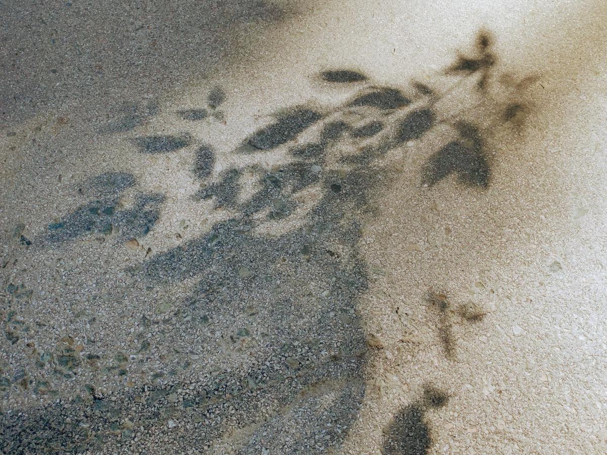 Läsnäolo opettajana & kuinka elämäni mullistui, kun pysähdyin olemaan siinä&nbsp;läsnä