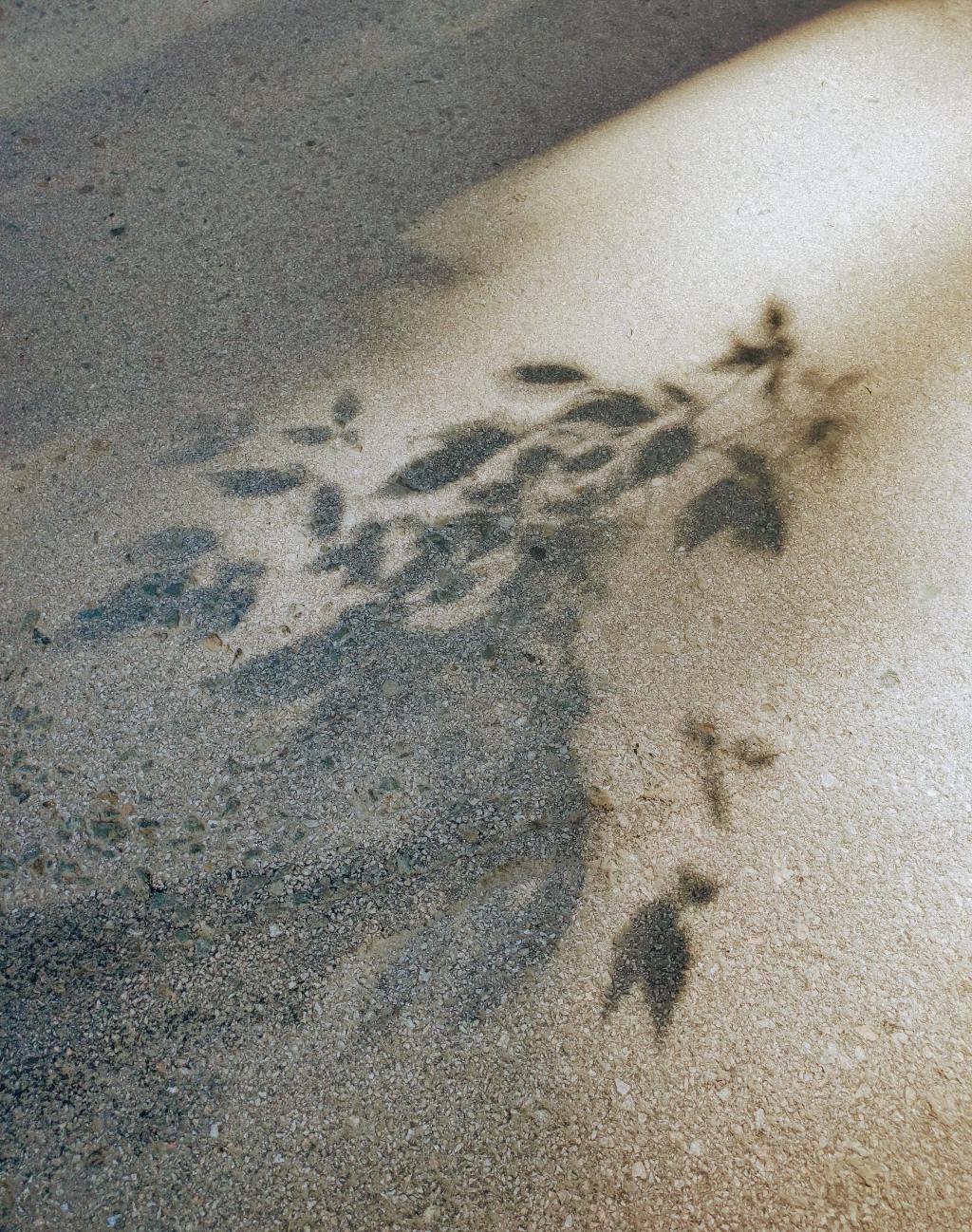 lasnaolo opettajana ja kuinka elamani mullistui kun pysahdyin olemaan siina lasna