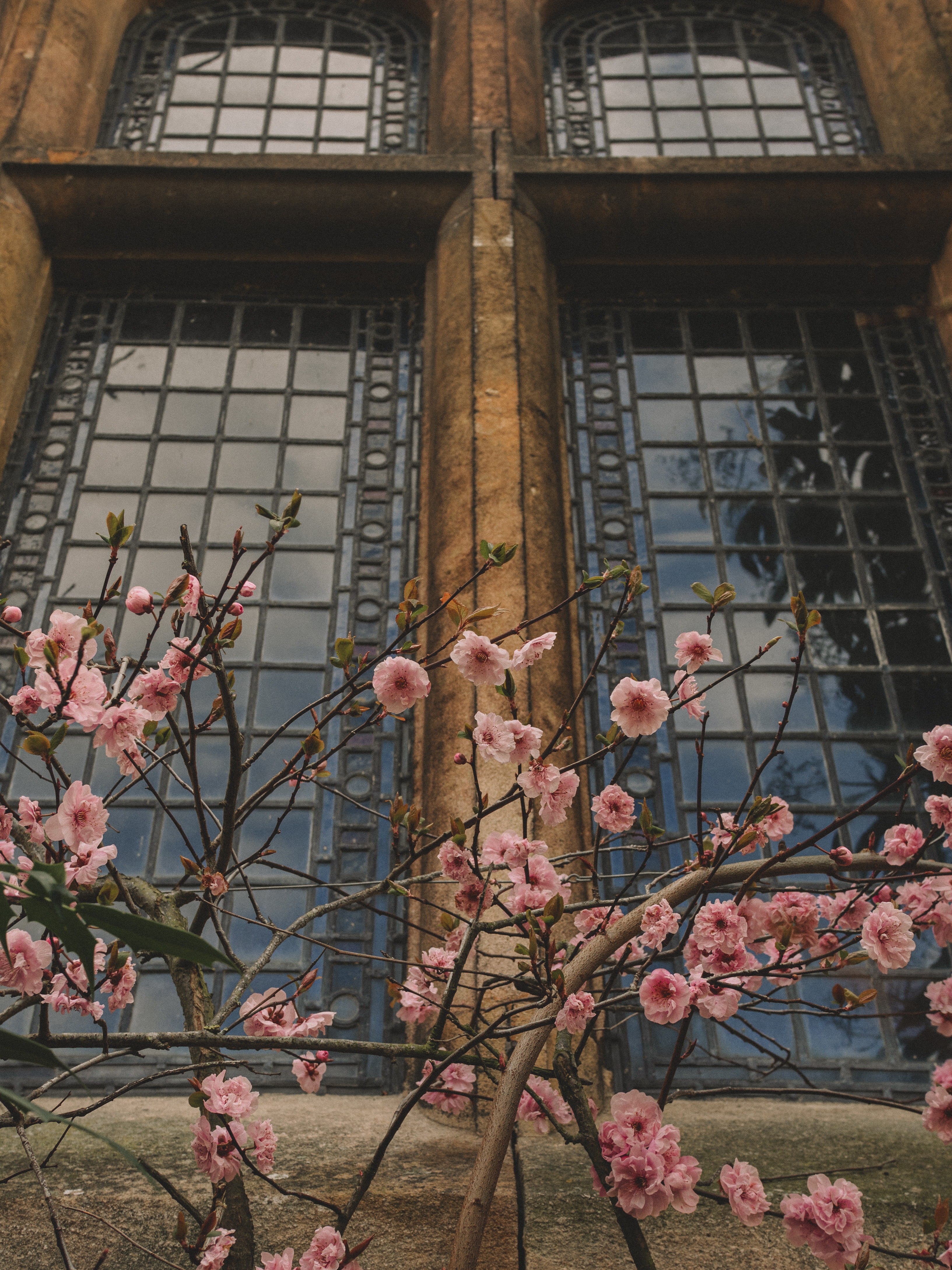 lasnaolo opettajana ja kuinka elamani mullistui kun pysahdyin olemaan siina lasna