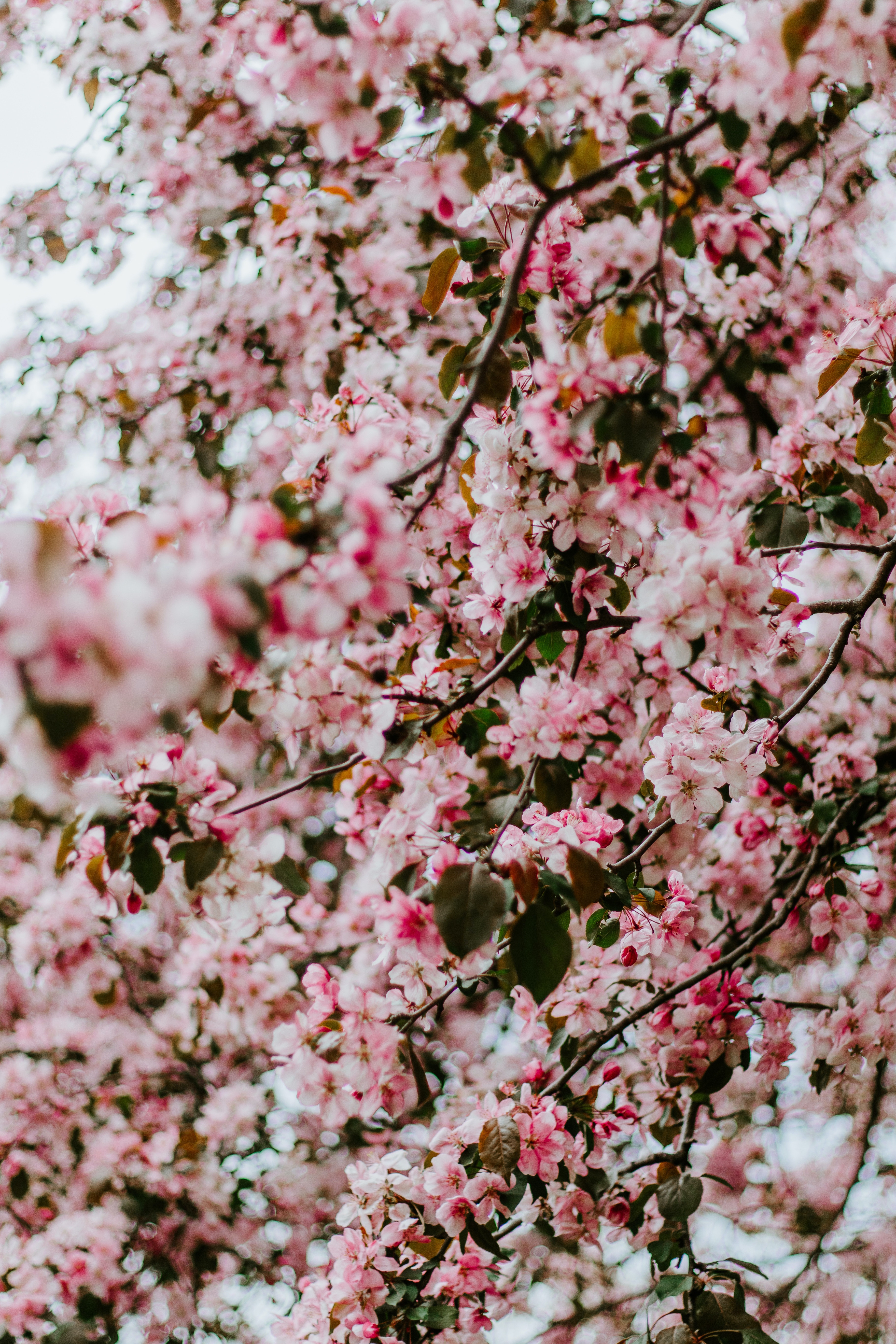 Energia sen voima ja kuinka energia viestii meille jokainen hetki