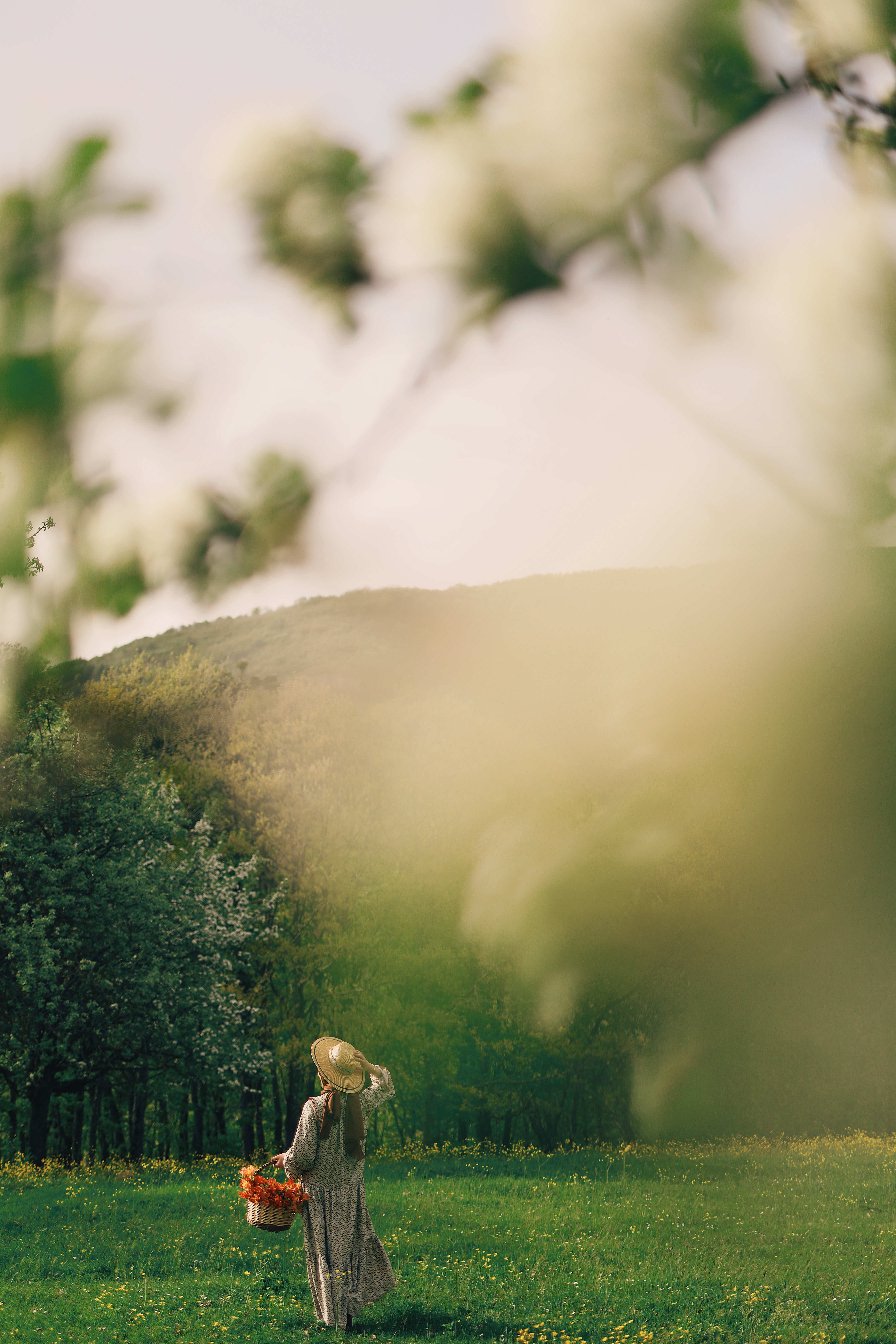 Energia sen voima ja kuinka energia viestii meille jokainen hetki