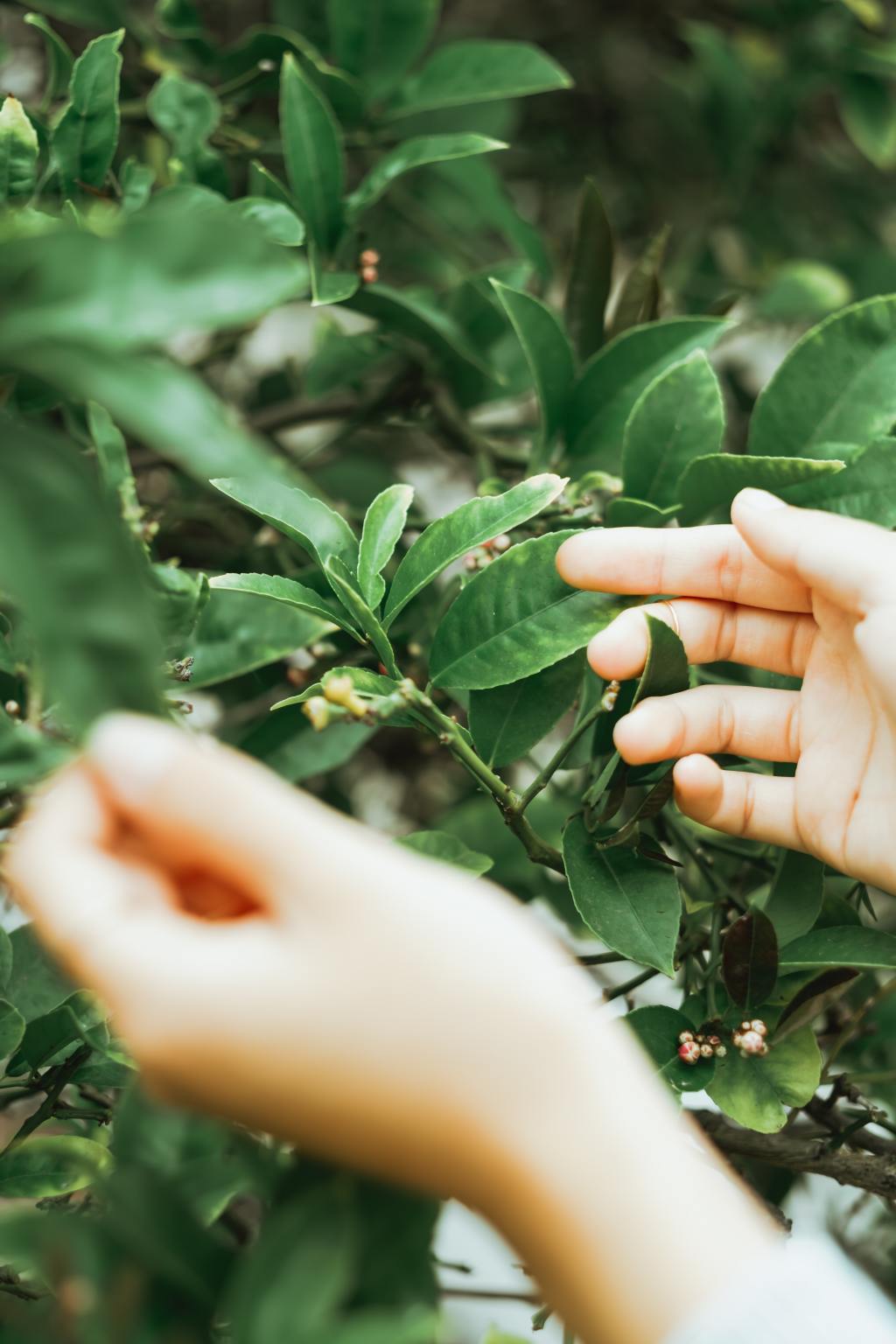 Uuden edessa ajatuksia pelosta epaonnistumisista ja aloittelijana olemisesta
