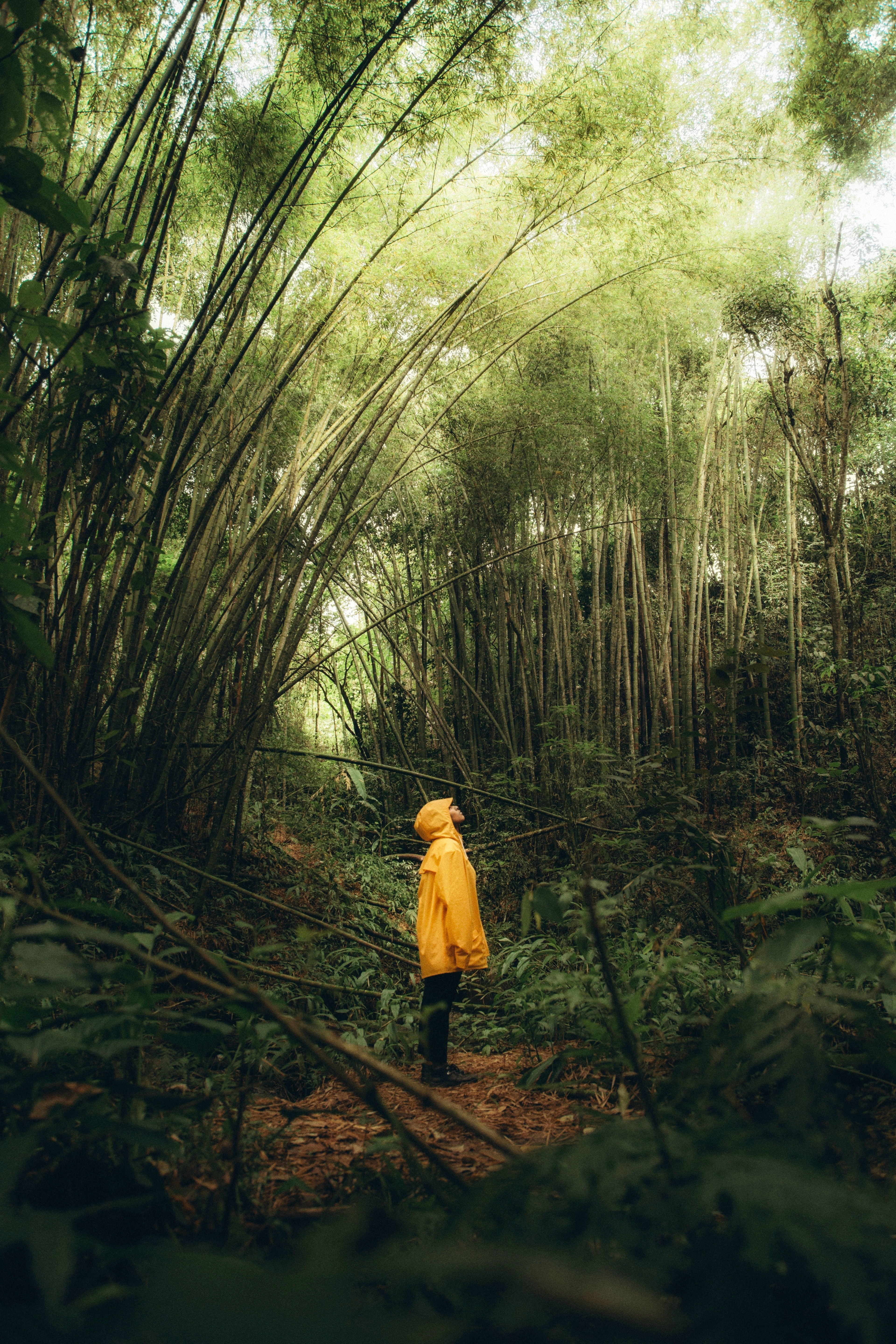 Hitaudessa on taikaa ja kuinka unelmat toteutuva askel kerrallaan