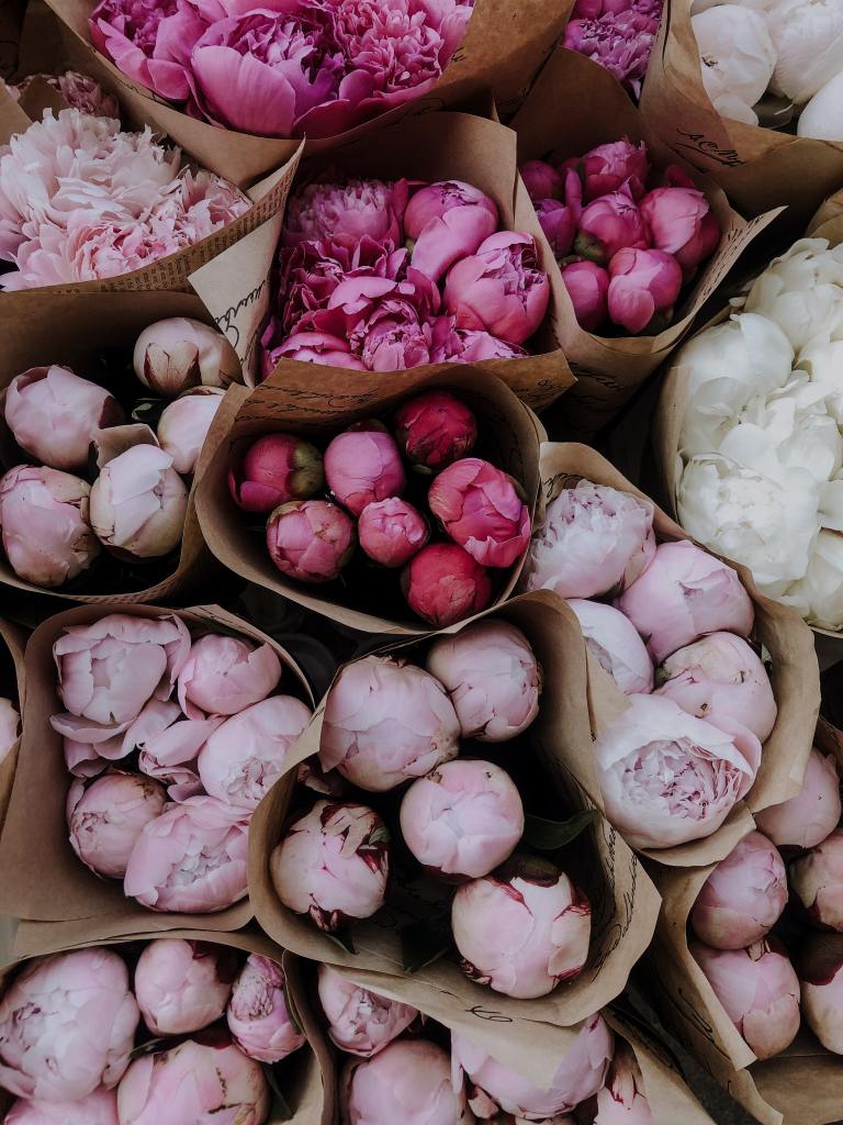 miksi valilla on helpompi haaveilla kuin luoda unelmista totta lempeita askeleita itsesi toteuttamiseen