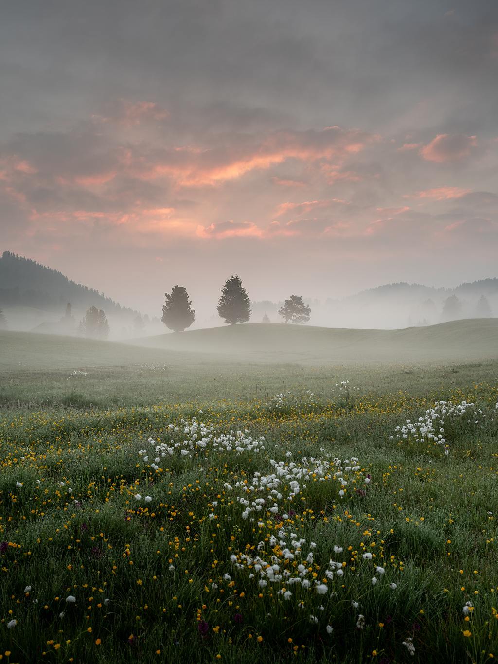 2022 vaihderikas ja ravisteleva vuosi taynna lukemattomia oppeja